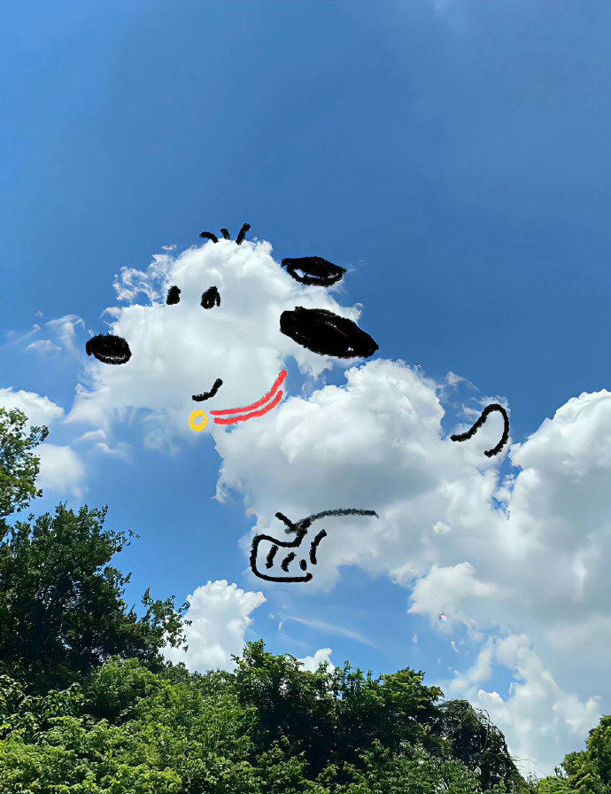 夏天的风我永远都记得,除了热,什么都挺好的！[太阳] ​ ​​​