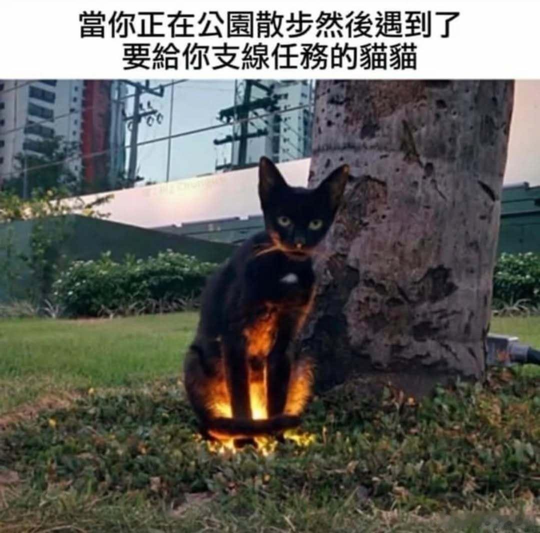 夜一大人 