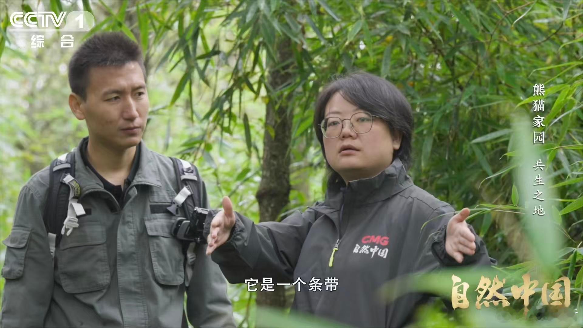 原来大熊猫不喜欢竹林疯长这个科普真的太涨知识了！赶紧转发扩散，让更多人知道熊猫保