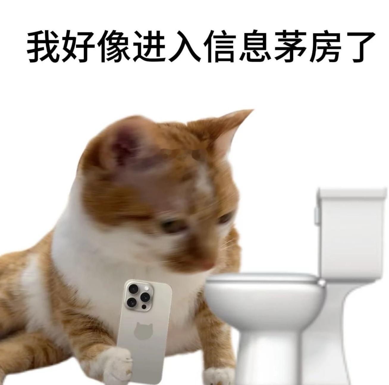 哪些大数据最让人反感不得不提到的就是到底是哪个软件在偷听啊…刚和身边人聊完什么东