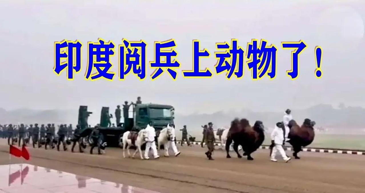 印度在阅兵上玩出“动物方队”，到底图什么？
 
2026年共和国日阅兵，印军计划