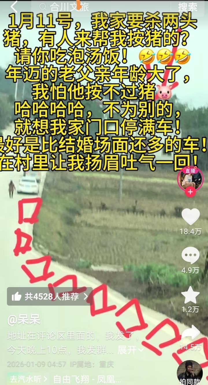 上千网友到合川帮女孩杀猪，车子从村头停到了村尾，主厨：这么多