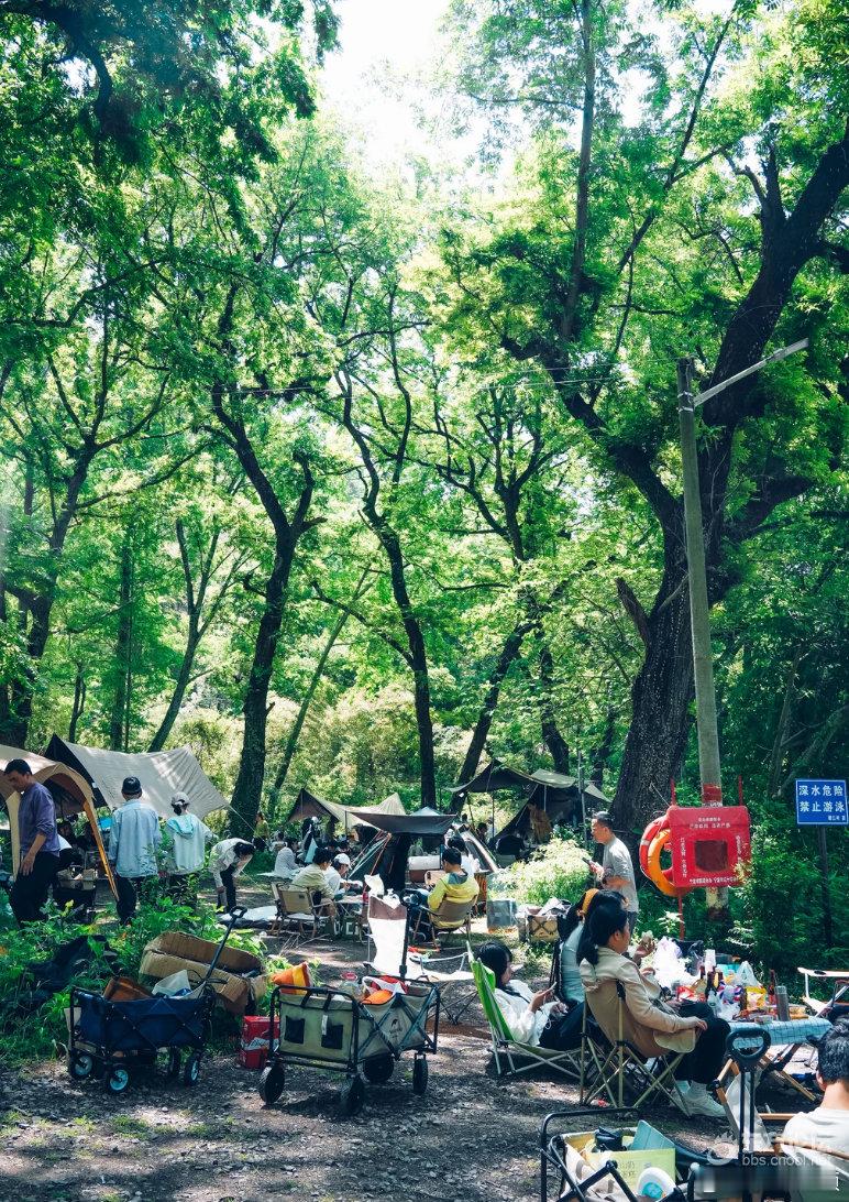【宁波这个免费露营地开始收费 ！消费入场约30元，有人点赞有人劝退！收费露营你接