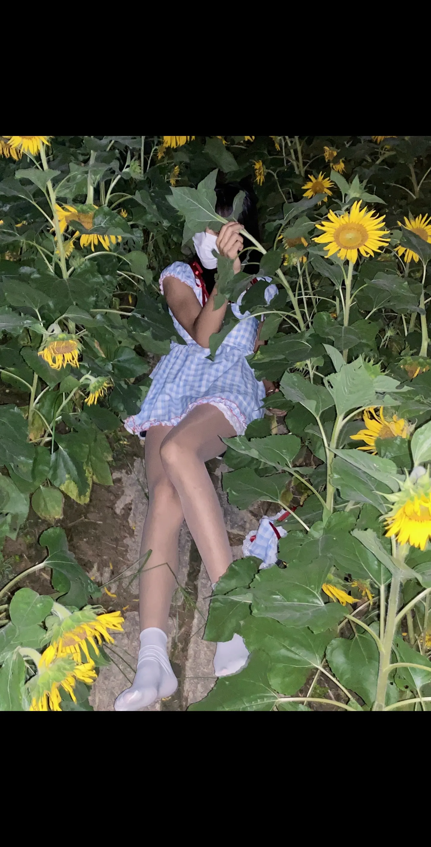 我不再会去为谁装扮成玫瑰而我要做自己的向日葵.