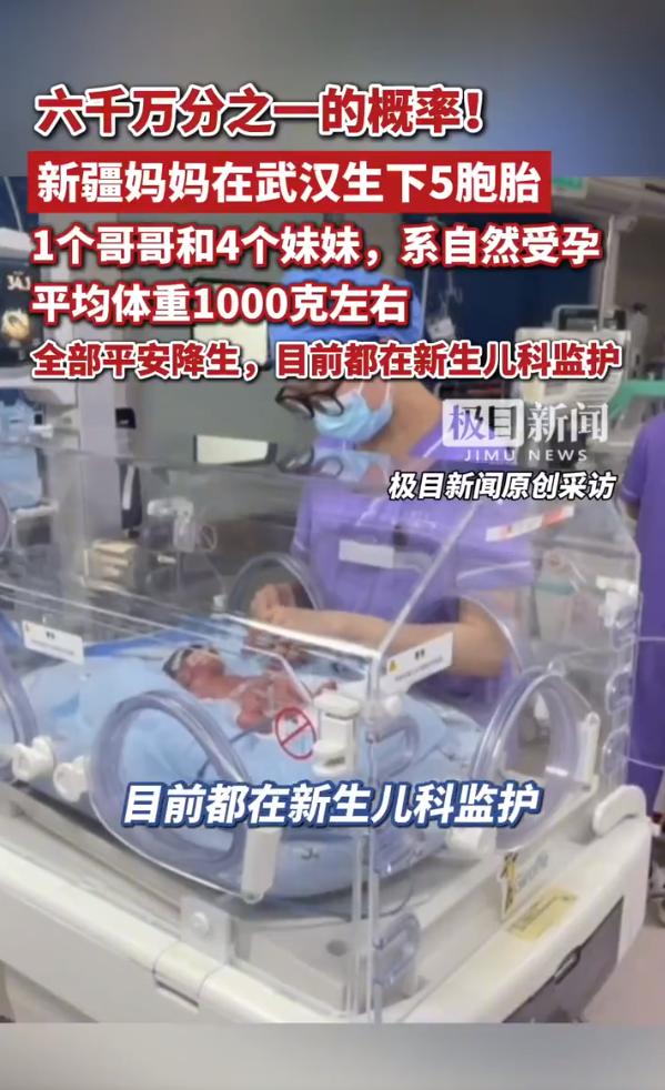 六千万分之一的概率！二十四岁妈妈顺产一男四女五胞胎

24岁新疆妈妈在武汉顺利生