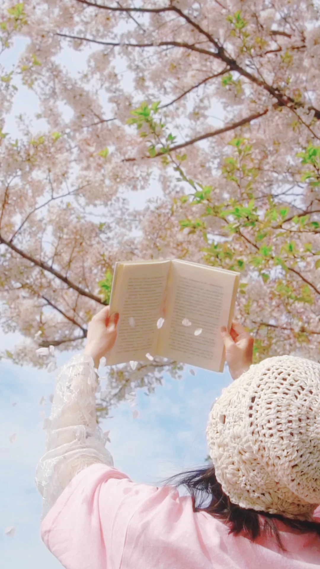 交换你手机中不舍得删的春日live