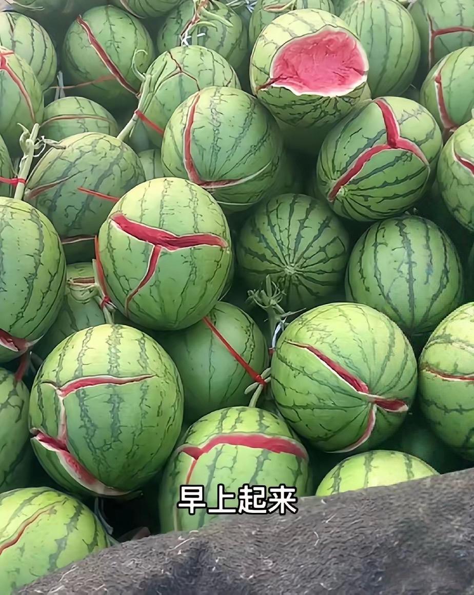这一早天塌了