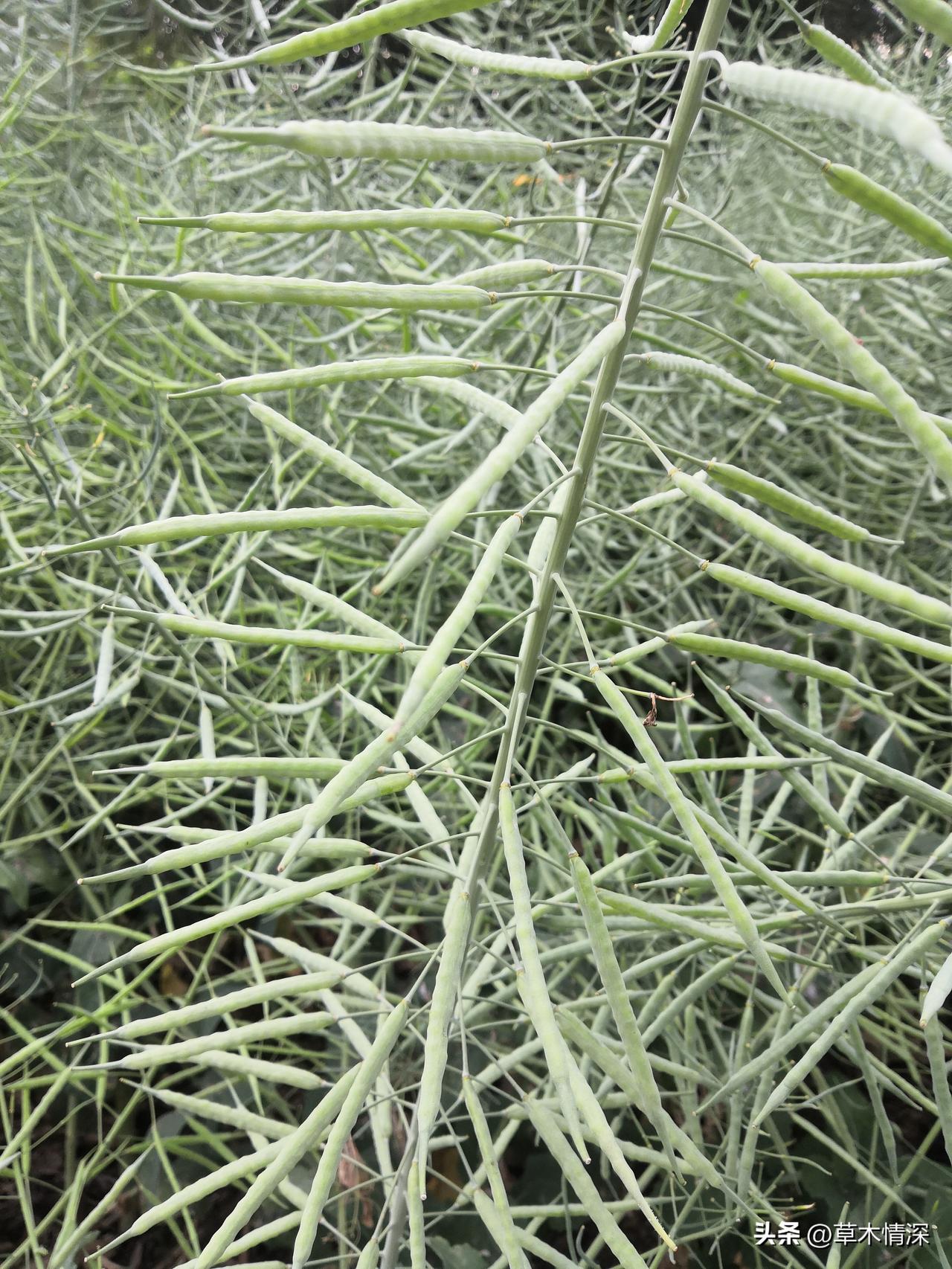 一句话证明你老了！字数越少越好60年的光景，60年的奋斗，60年的艰难，已经过去