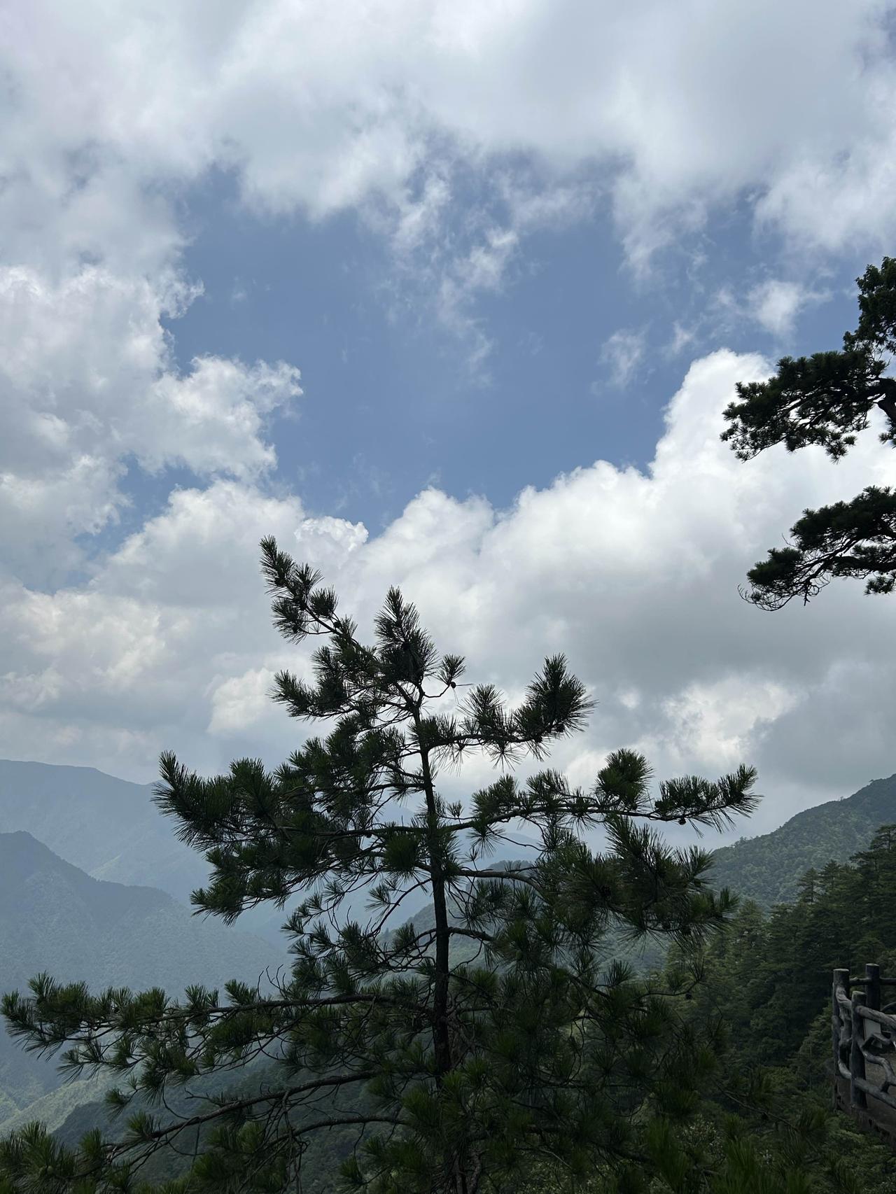 日子不用太匆忙，生活不必太拥挤。