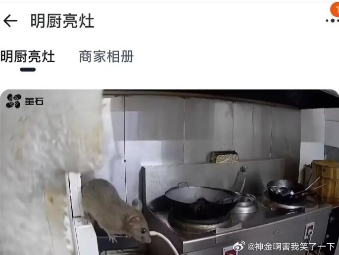 6366明厨亮灶 