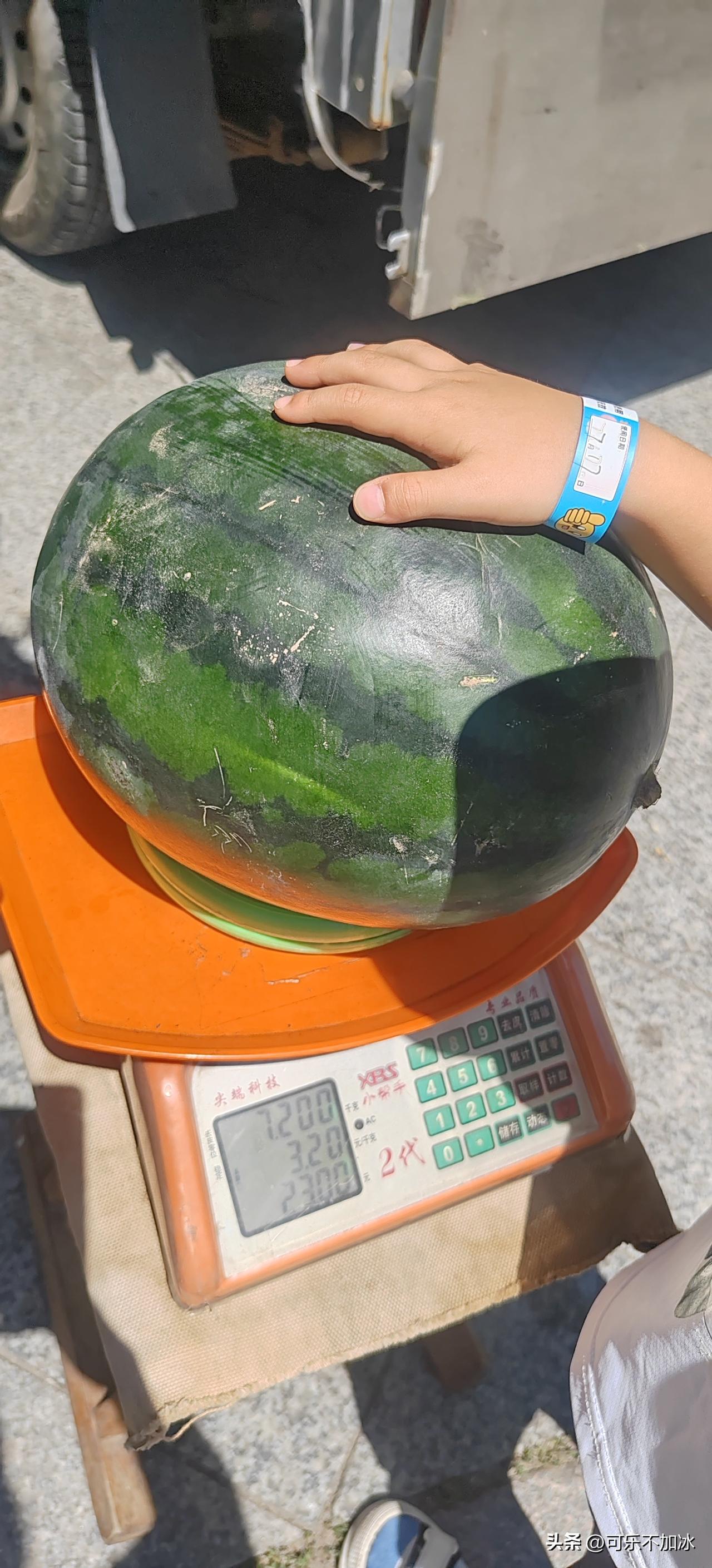这瓜看着就扎实，上秤一称7.2公斤，足足14斤多！

小家伙小手往瓜上一放，对比