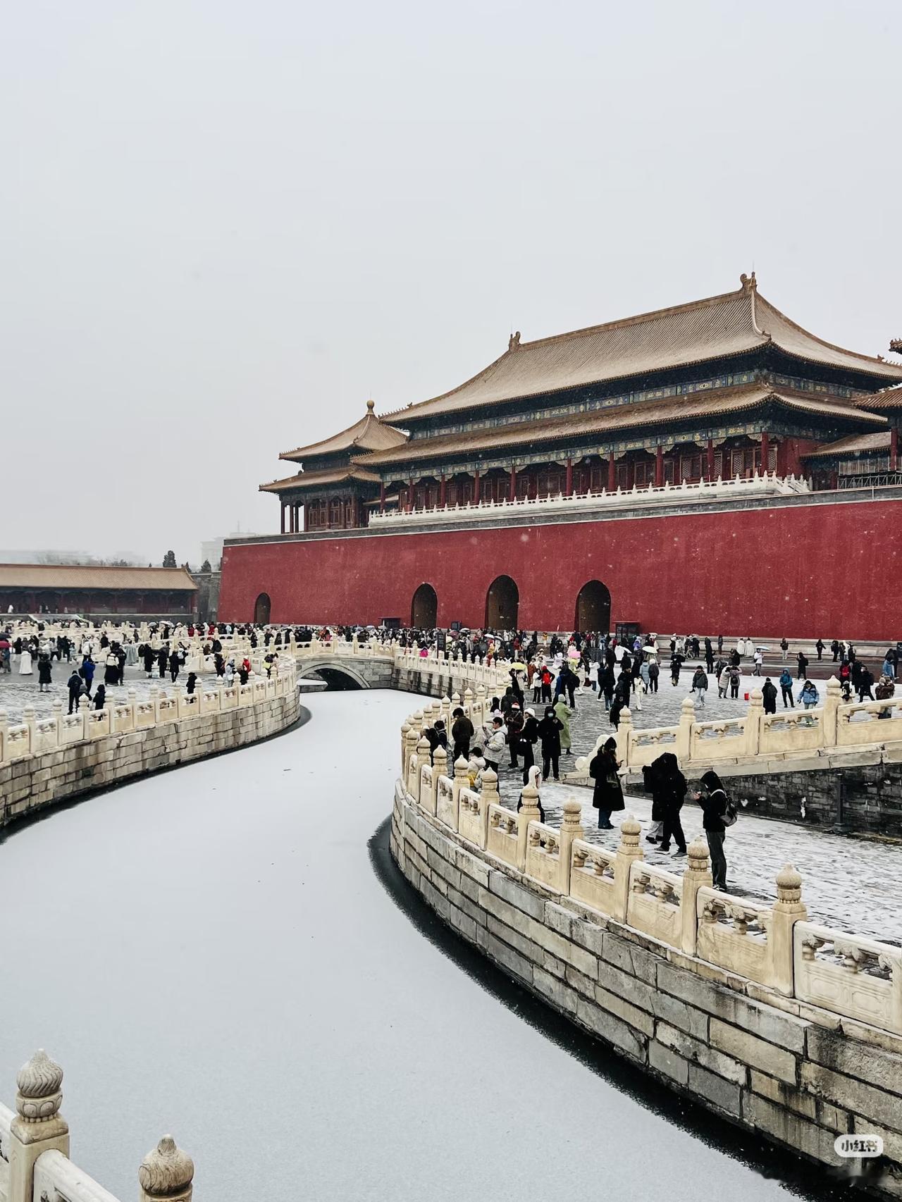 北京初雪来得又快又急呀！早上八点还没半点反应呢，九点多就开始零零碎碎来了，到了中