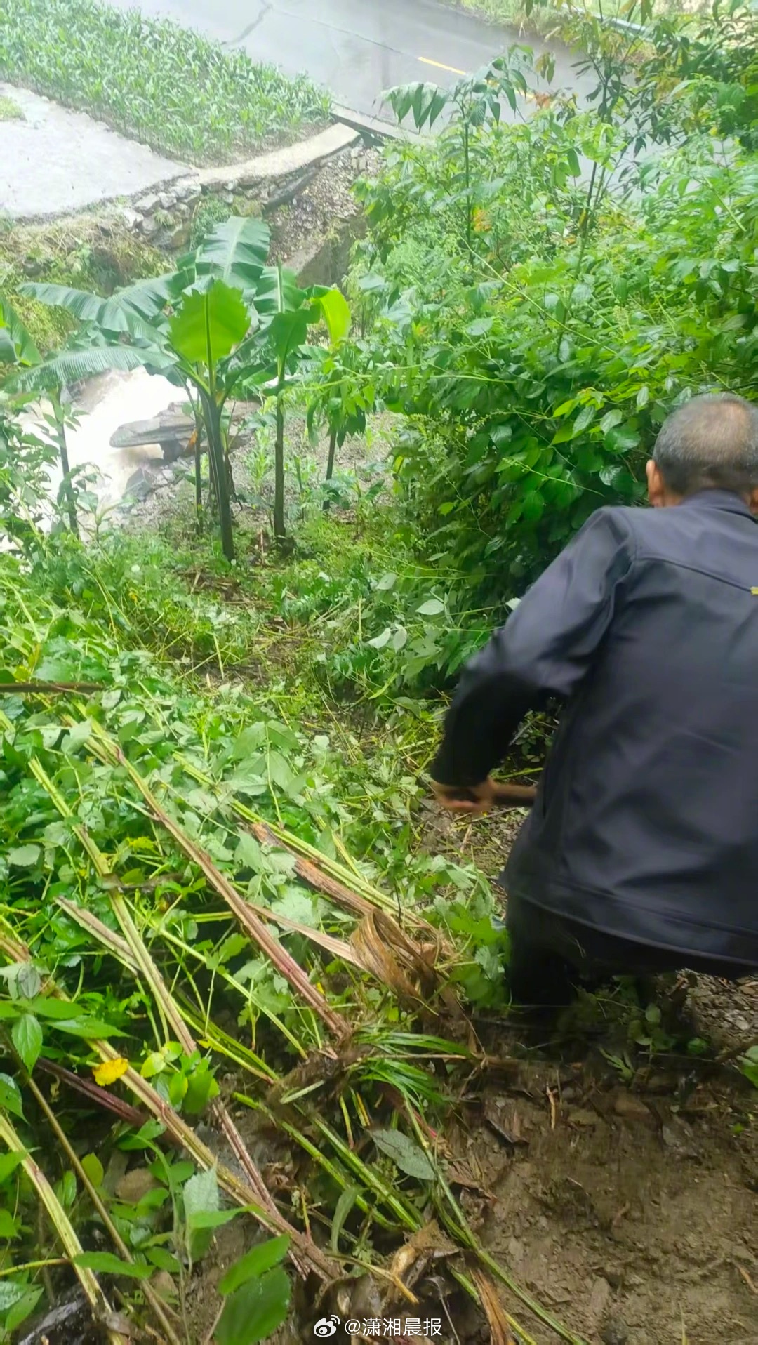 【#暴雨后镇干部徒步十多公里进失联村# ：信号到不了的地方，脚走到了】#洪水后村