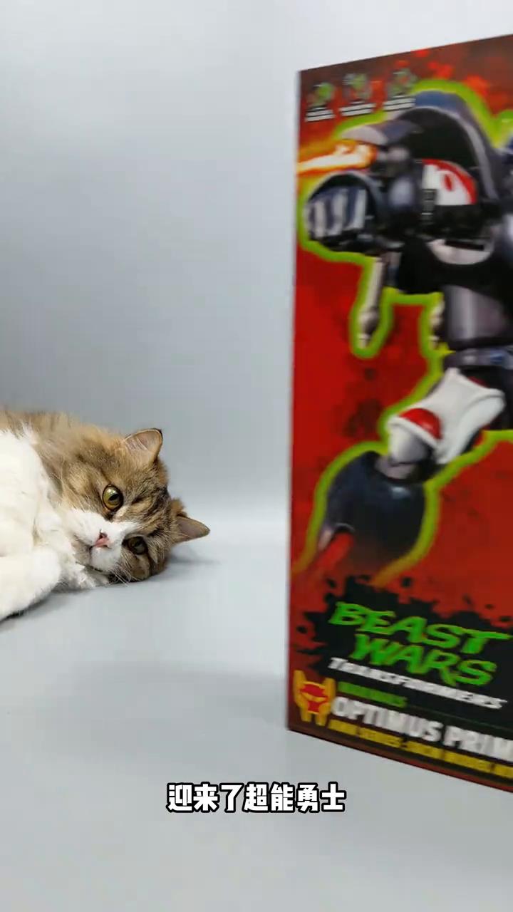 YOLOPARK AMK超能勇士猩猩队长。
各位00后玩家心中的猩猩队长可能长这