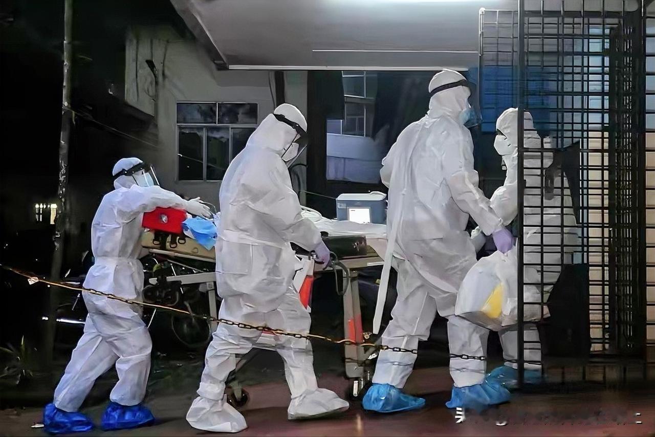 尼帕病毒，不用恐慌。

它是蝙蝠上来的，蝙蝠污染果园食物，污染猪群，导致的传播。