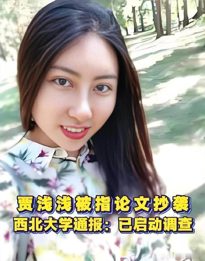 这起引发全网持续关注的学术不端事件，最终以贾浅浅被撤销硕士学位、取消副教授职称、