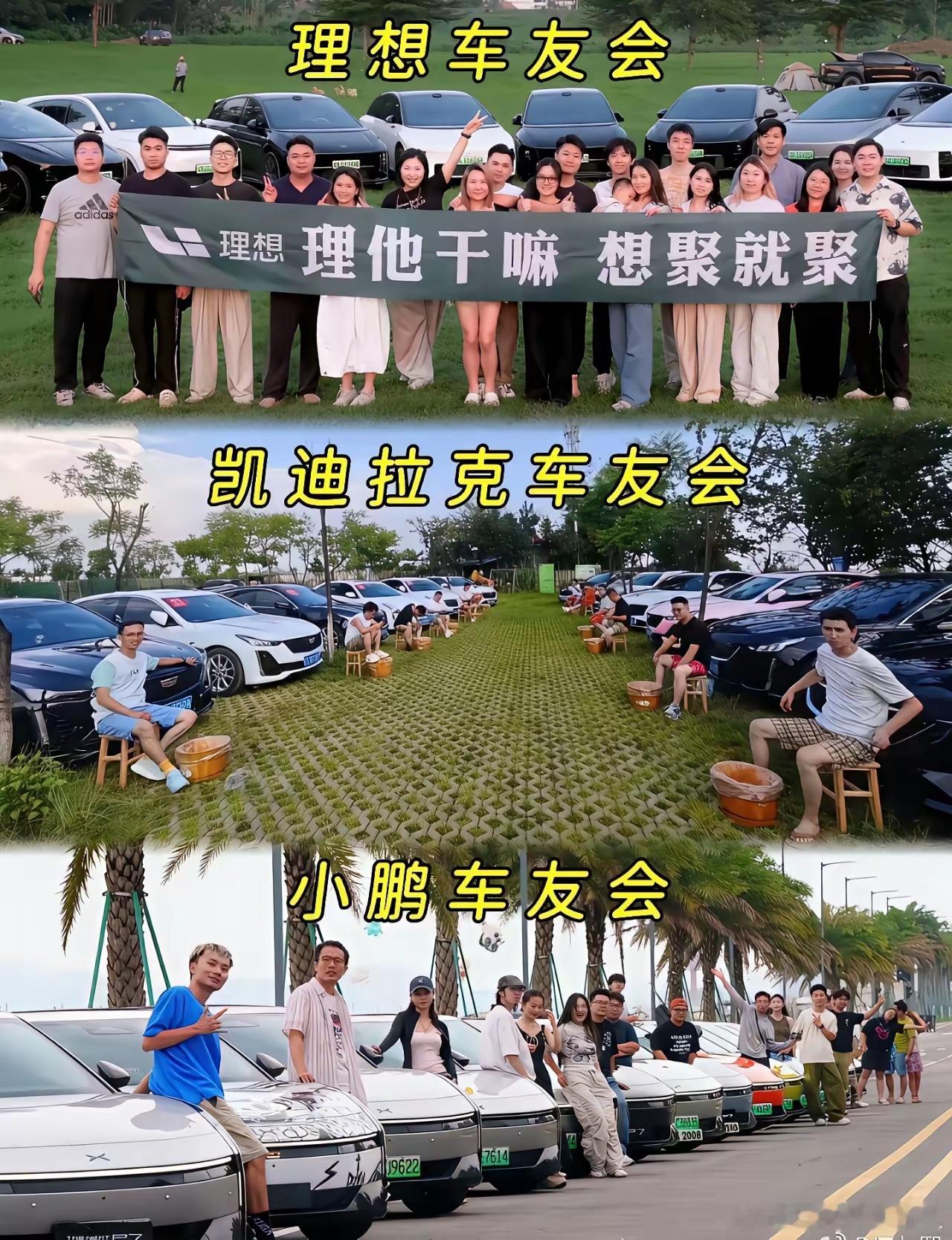 果然车友会的车，也得停到草坪上
