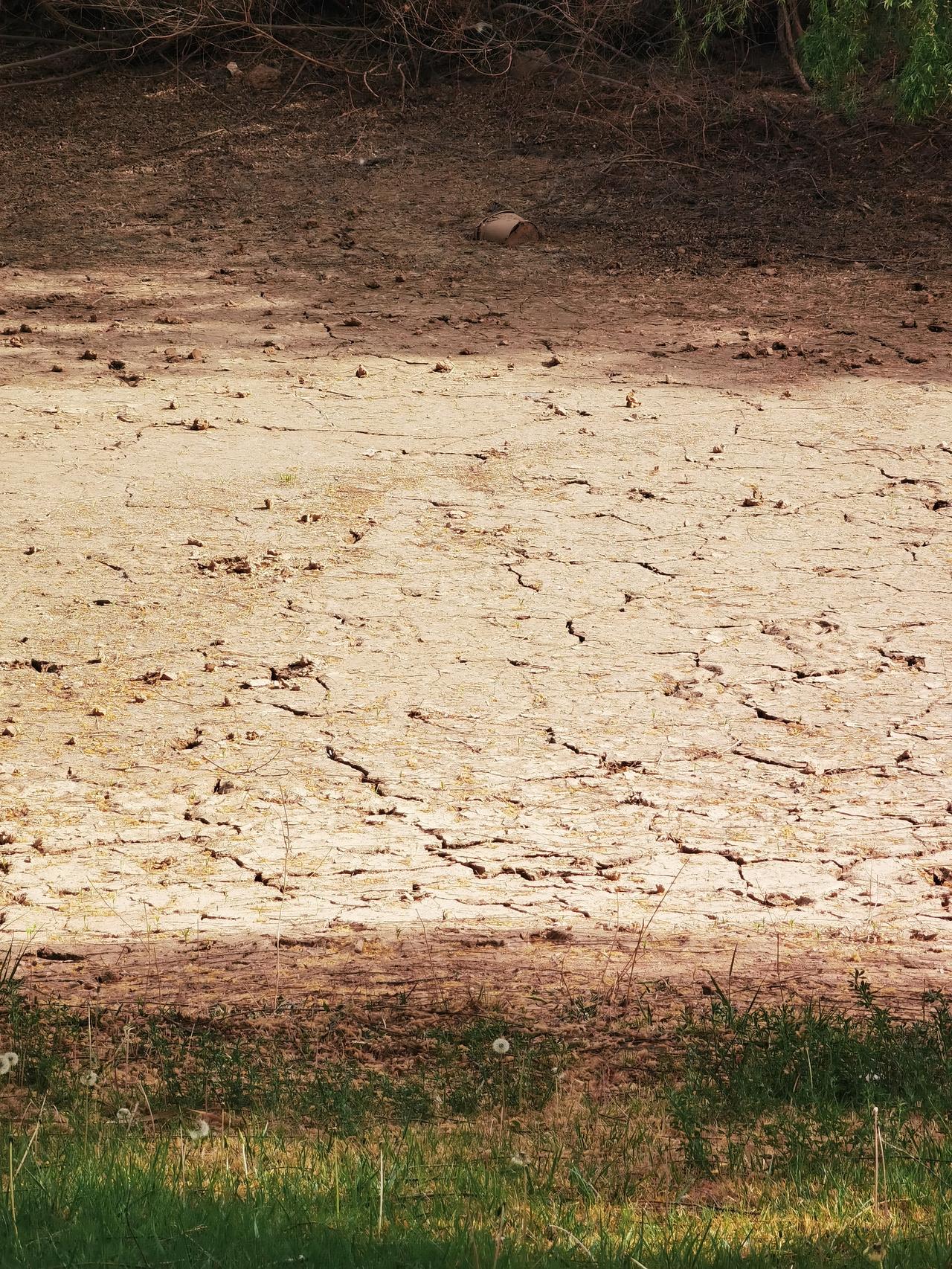 春天到处绿油油
唯独这片不长草
土地干裂令人慌
寸草不生啥原因
