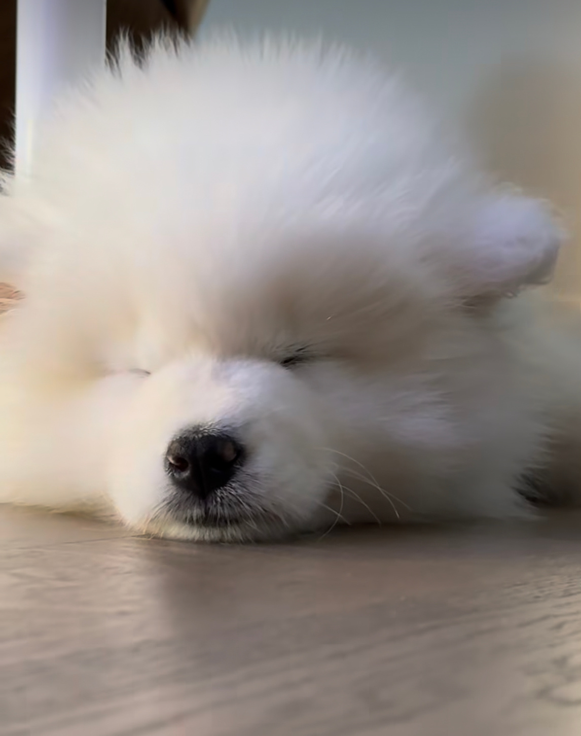 晚安耶 ​​​