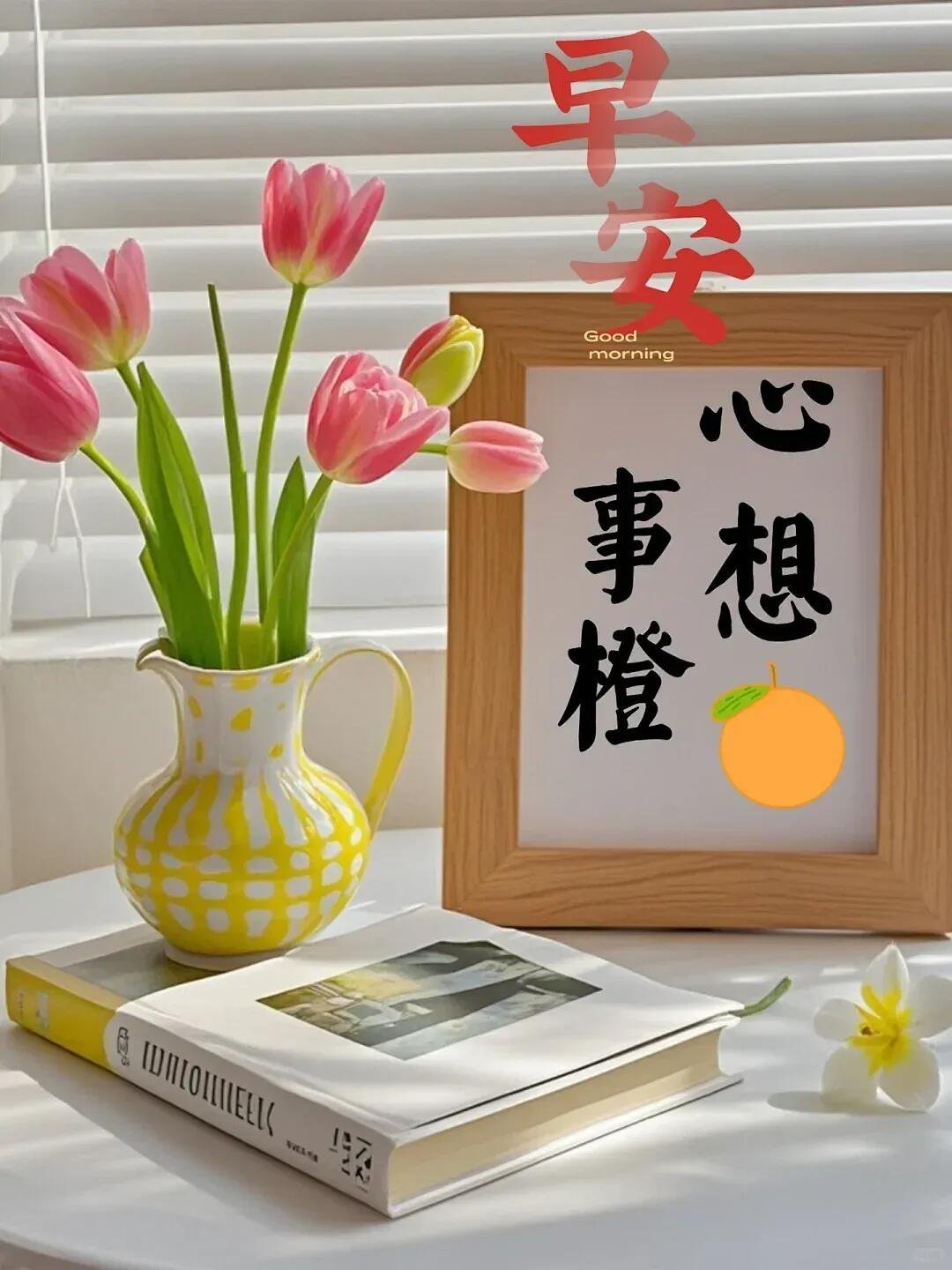风有信，花不误，万事皆可期。生活不必很惊艳，但要活得有温度，认真对待每一个日出，