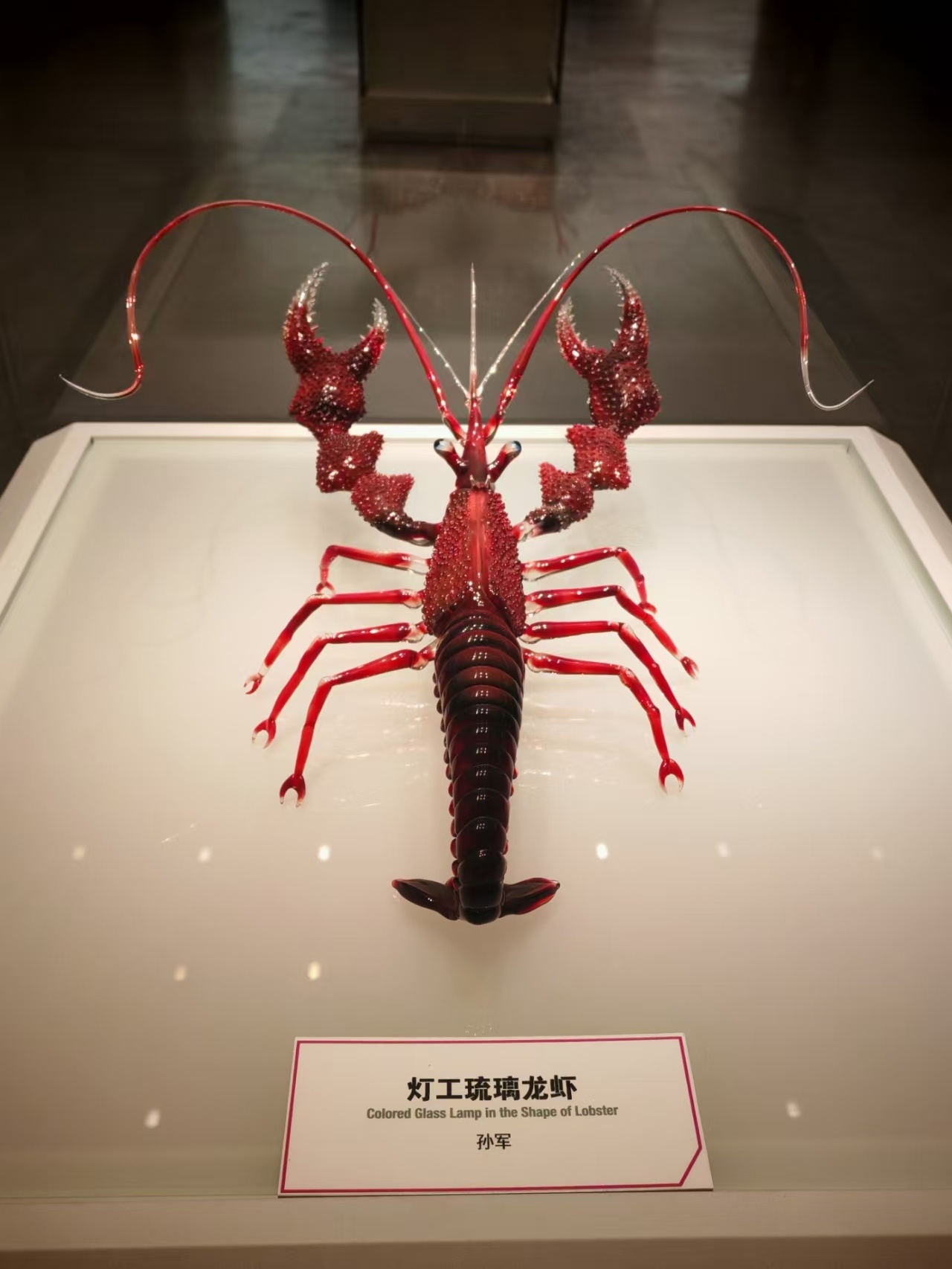 秦岭笑谈 【探馆中国陶瓷琉璃博物馆：千年陶琉里的齐风匠心】青春三下乡社会实践曲阜