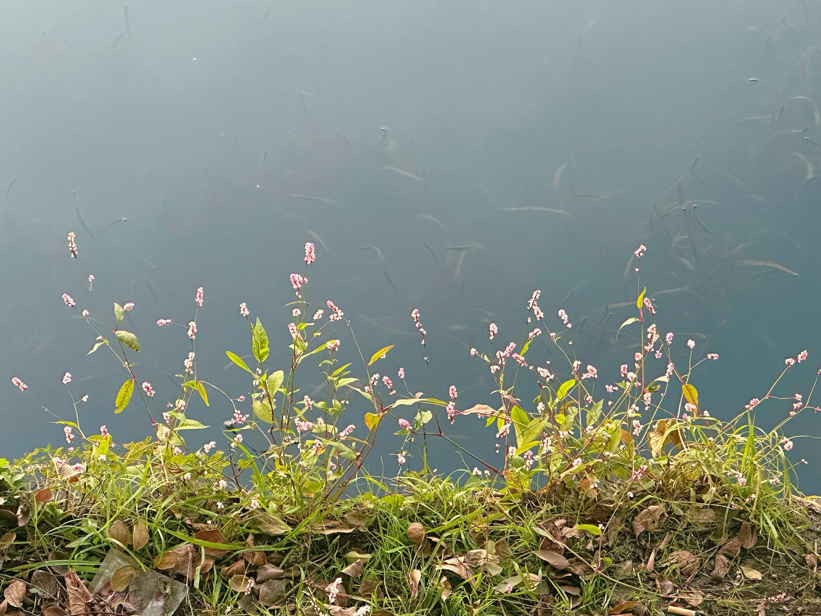 出去走走，满血复活…