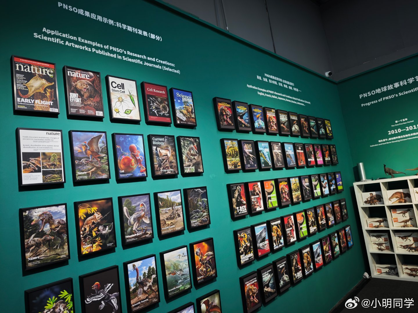今天受邀来798园区看了 赵闯和杨杨科学艺术展 。走进展区直接就被一只1:1等比