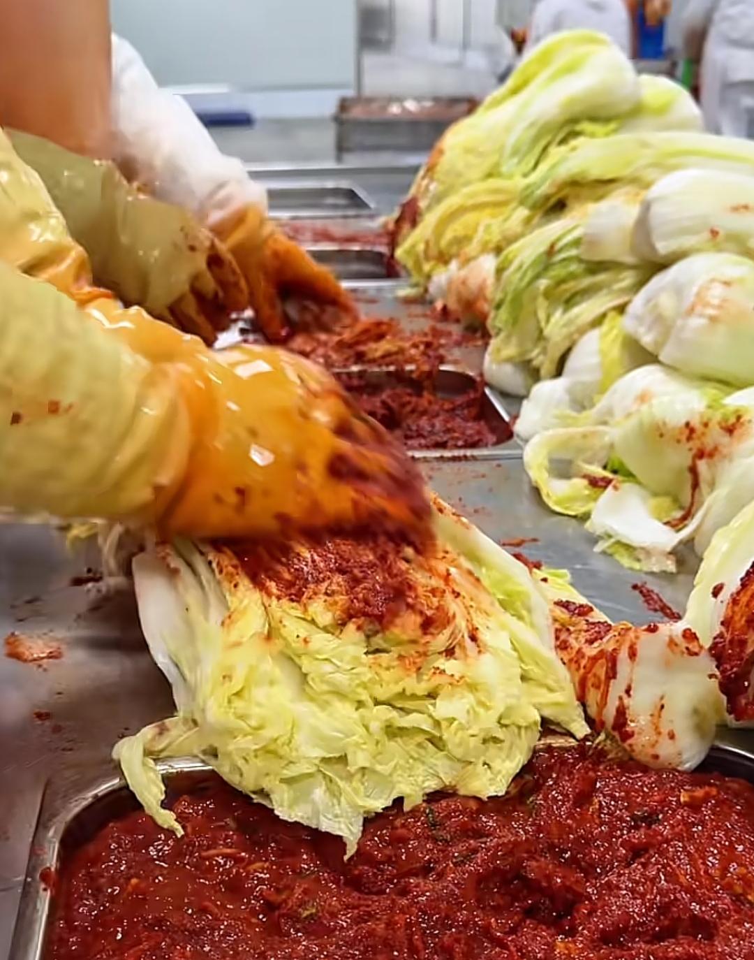 韩国泡菜吃过吗？是很美味，有点酸有点辣又有点脆脆的。而做泡菜的大白菜，大多是从中