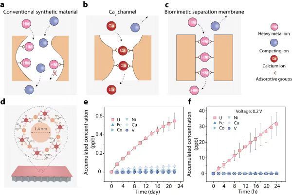 【关键金属提取技术获新突破！】随着新能源产业快速发展，关键金属资源的战略价值日益