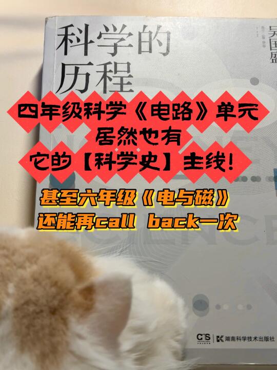 原来是“原电池”使人类从【静电】走向【流电】！