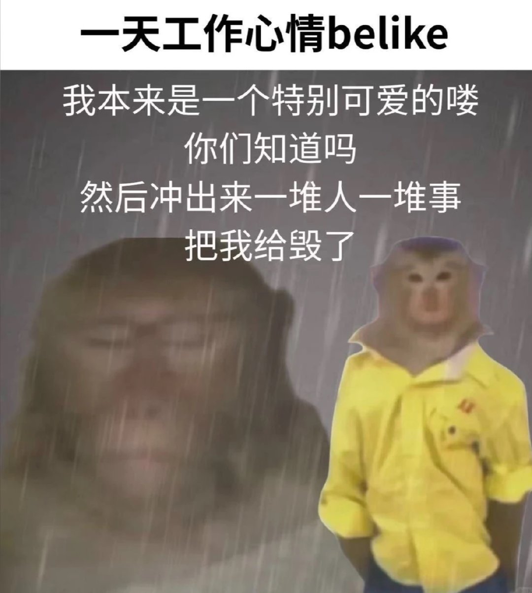 仇人租到这种房我也释怀了打工人租房太容易踩坑，还总被二房东乱扣押金，实习生真的防