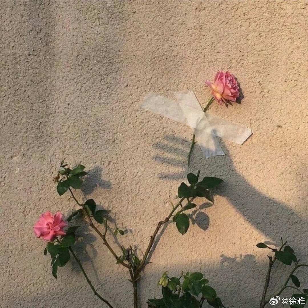 小众背景图 
