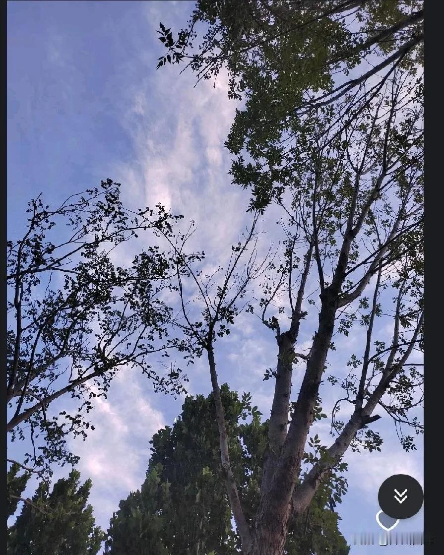 我就不明白了

为啥孩子花父母的钱

从来不觉得自己是父母的负担

还会给父母提
