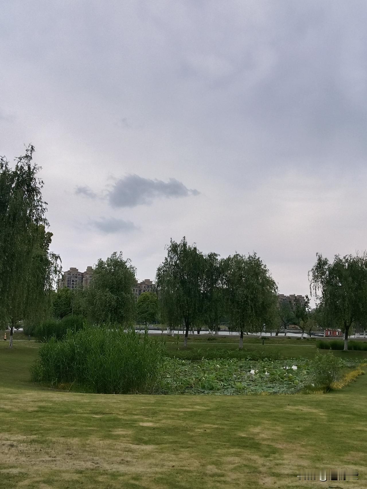 首先，对于像他这个层级的人而言，年薪多少其实已无关紧要。或许这只是一种提问手段，