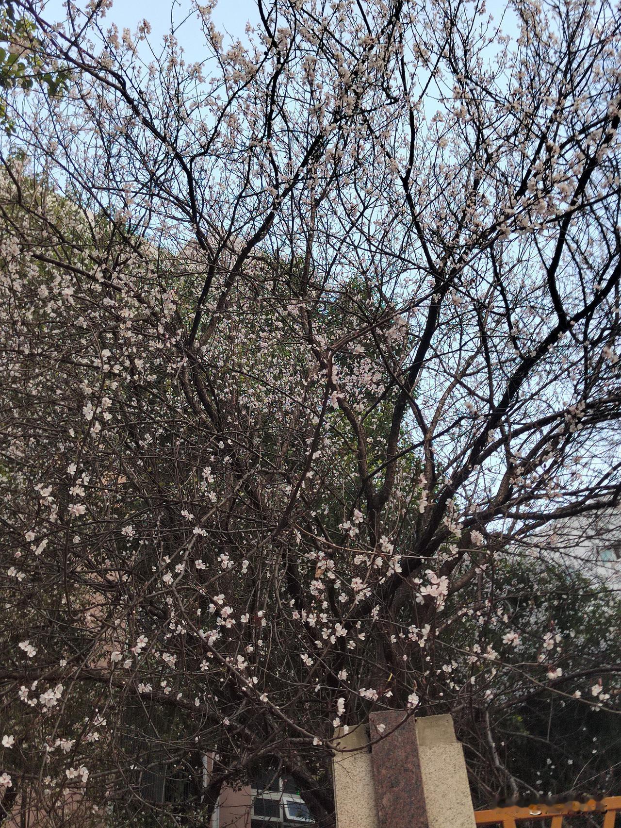 答案很肯定：是的，而且是最稀缺、最长久的魅力。
 
很多人误以为魅力靠颜值、口才