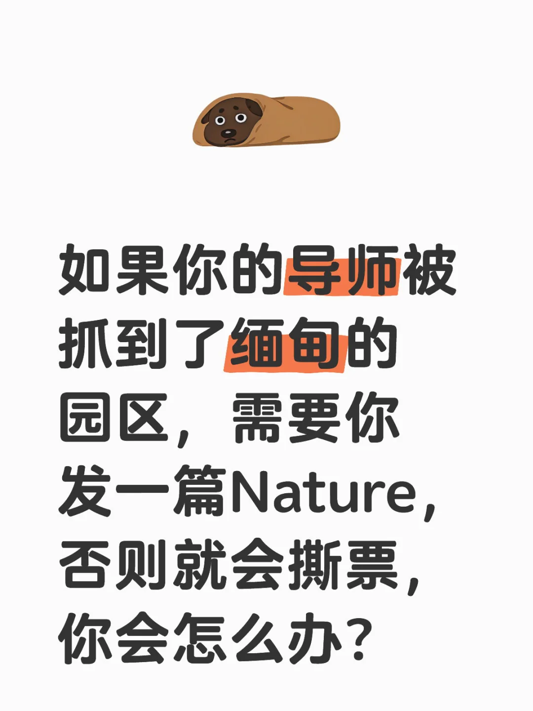 我能怎么办，给我大办特办