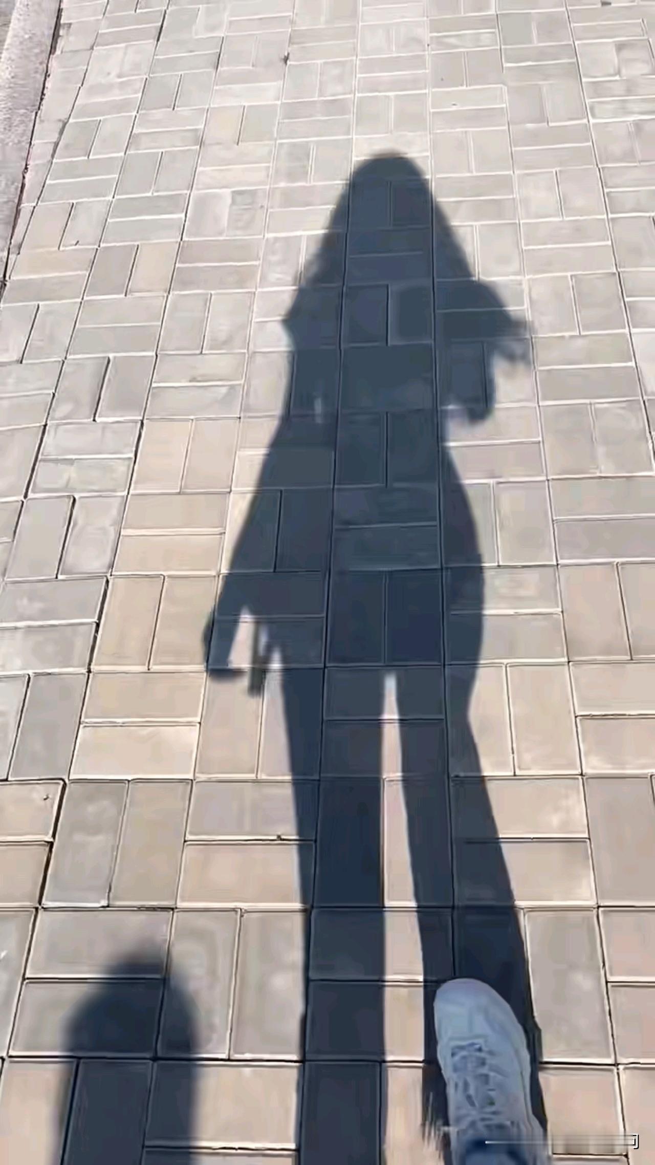 生活无解 
去感受 
去记录 
去热爱