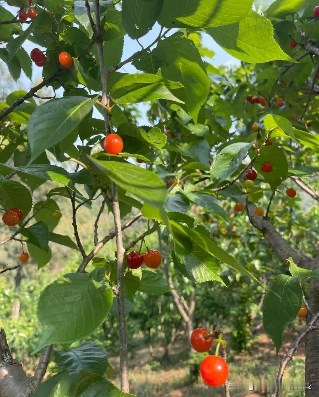 2026年4月21日，
十二星座综合运势相对论🍭

白羊座♈
宜——思维逻辑清