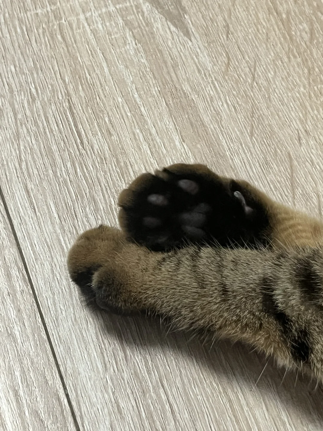 谁敢闻？