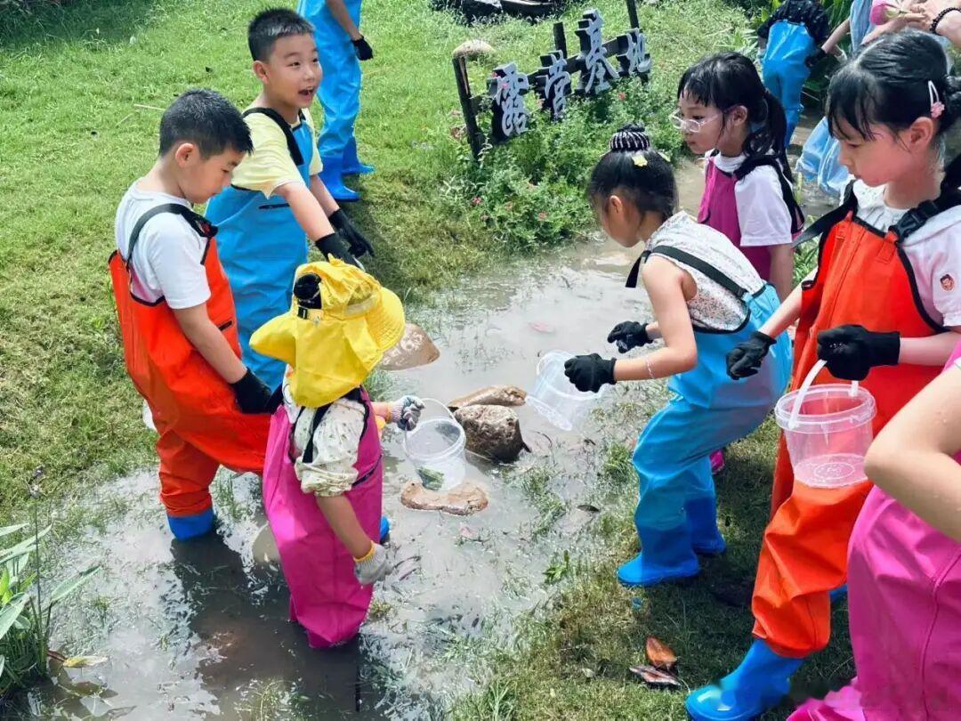 夏日田园露营安排！泰州这条「田园逐夏・轻享露营」二日自驾线，把江南乡村的惬意玩明