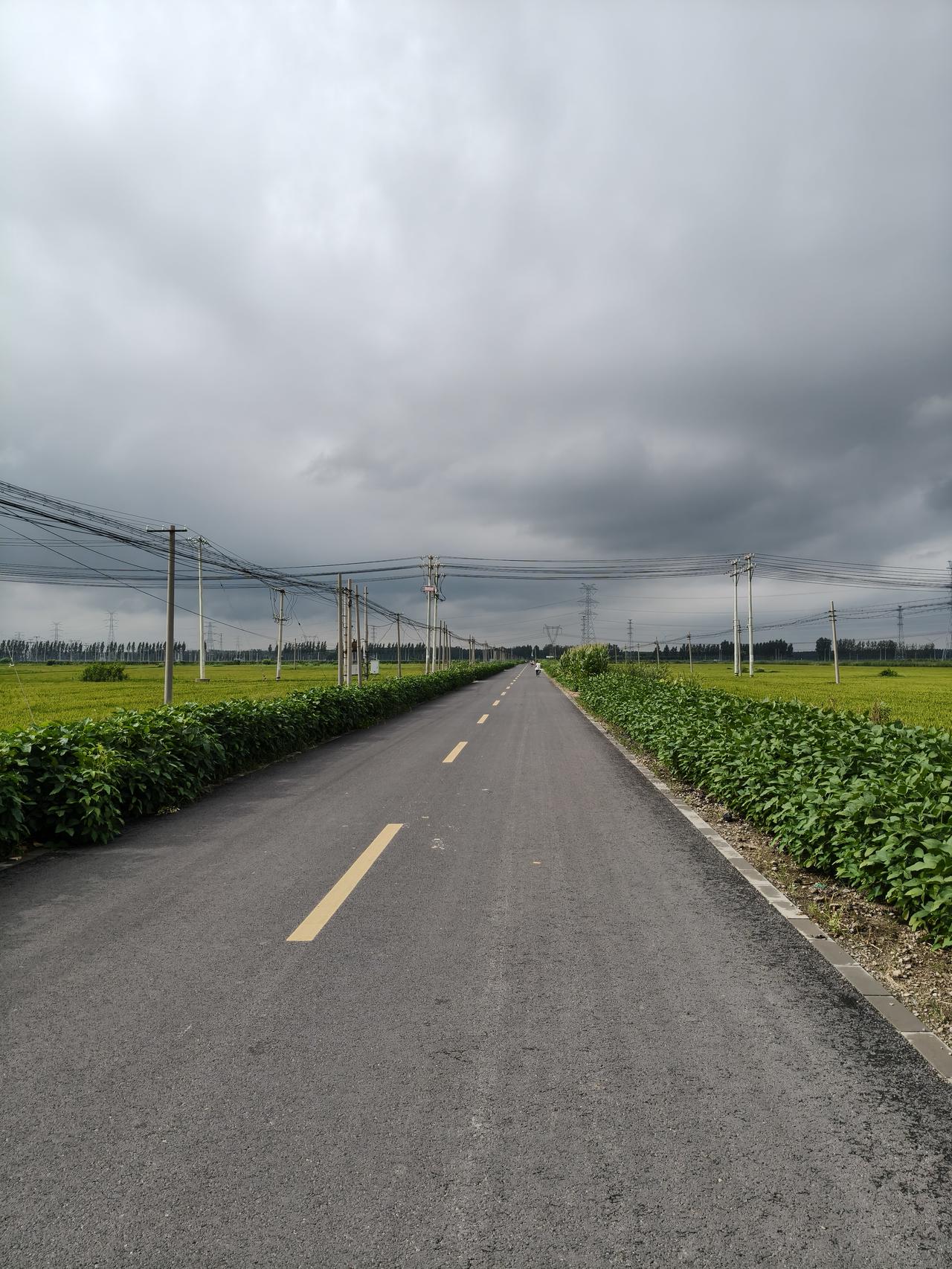 晒图笔记大赛农村地区的道路拍不出什么花草，只能拍一些农作物，你看这道路两边的水稻