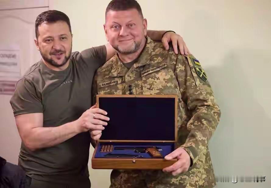 乌克兰政局近期出现新动向。前武装部队总司令扎卢日内在最新民调中支持率显著领先现任