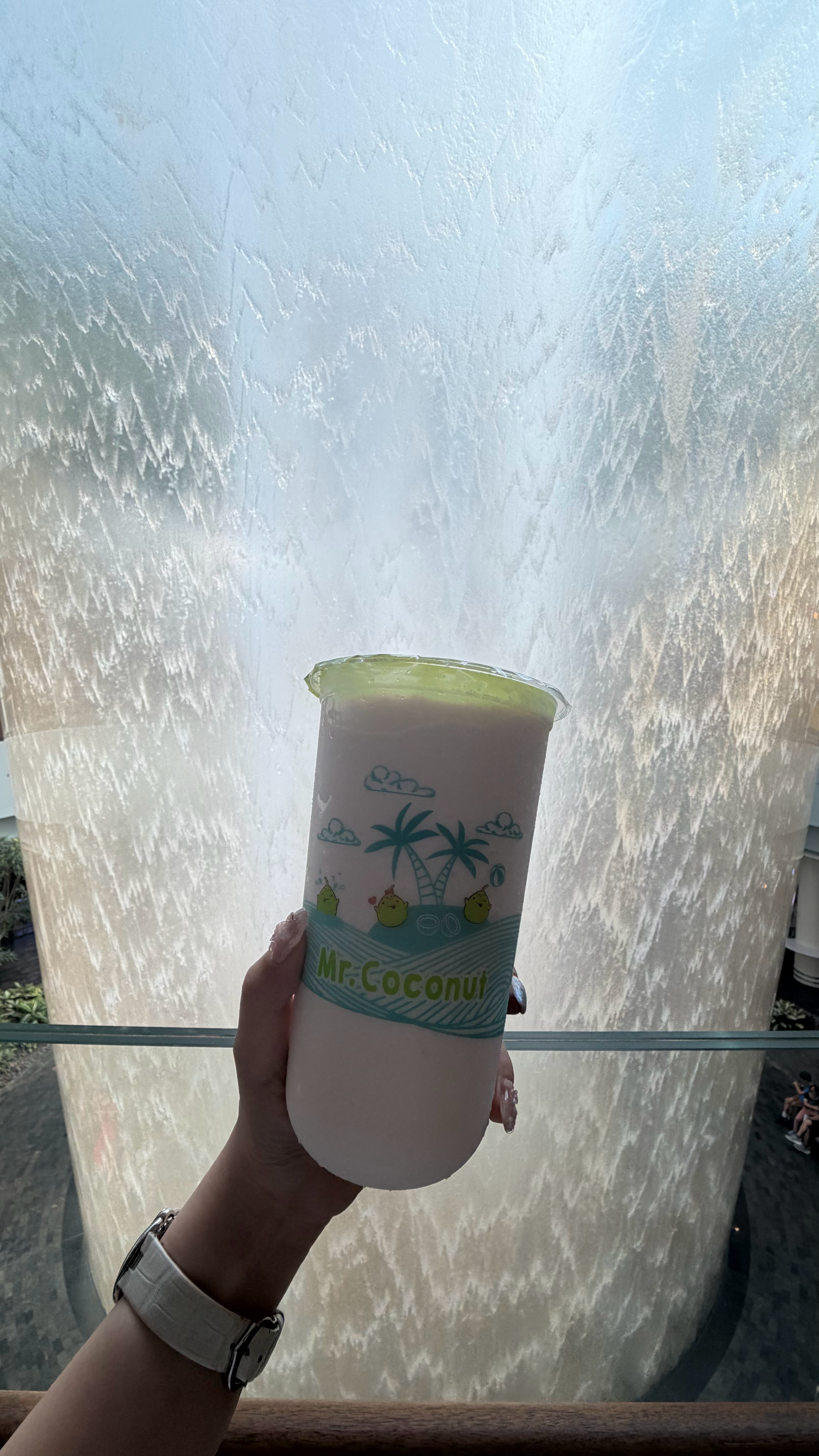 椰子脑袋狂喜 新加坡·Jewel Changi Airport