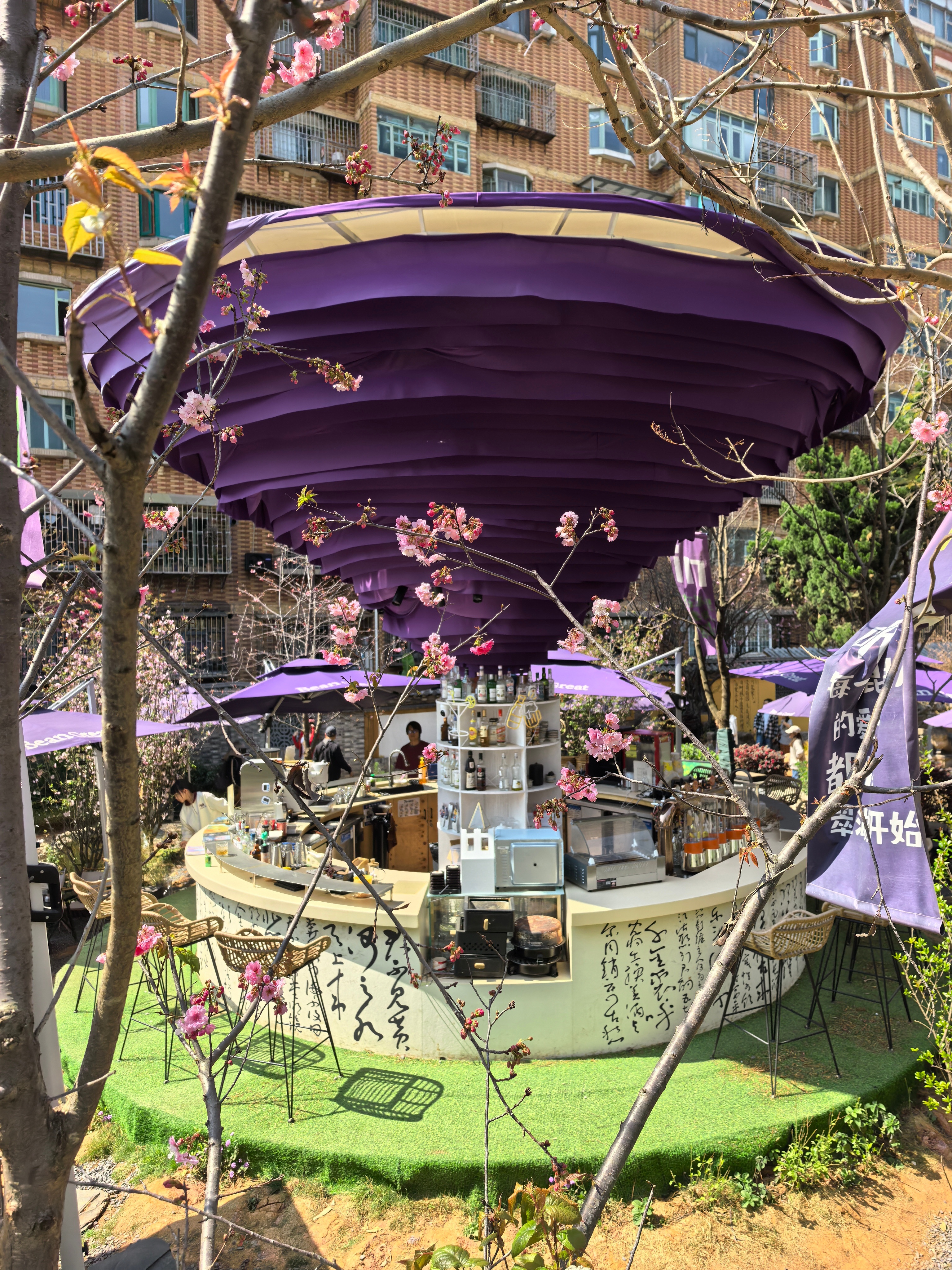 跟着微光游昆明 昆明翠湖原名“菜海子”，曾是滇池的一湾浅湾，元代筑城后化作城中碧