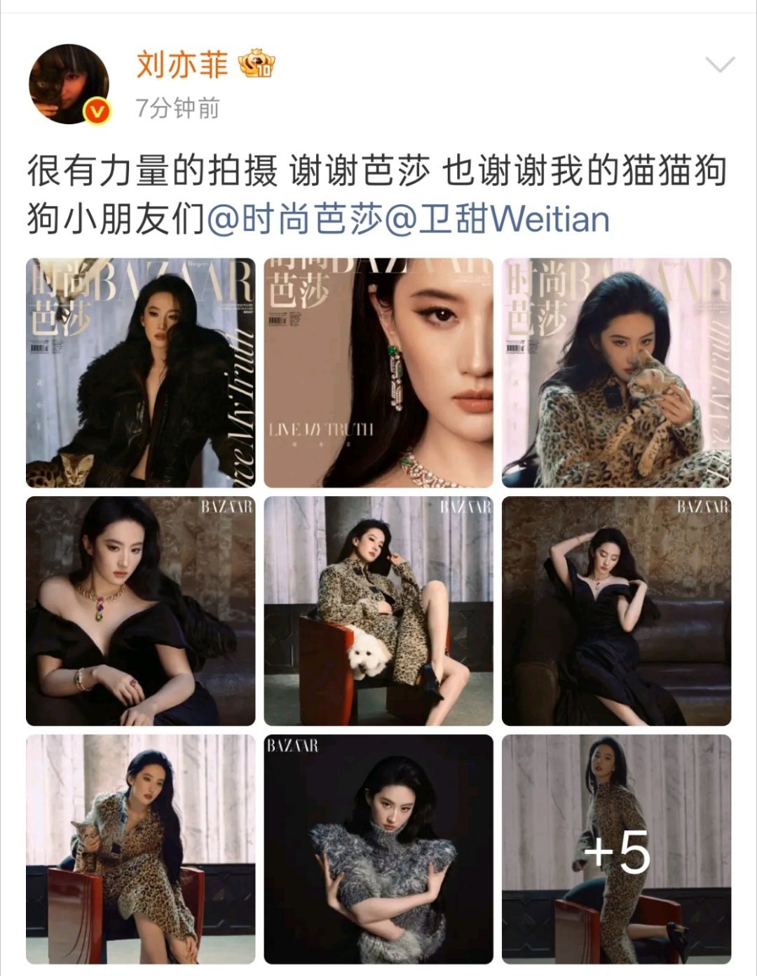 哈哈：本修🐶芭莎金九预告芭莎：安排刘亦菲的猫上封面，哈哈上内页哈哈：终究是错付