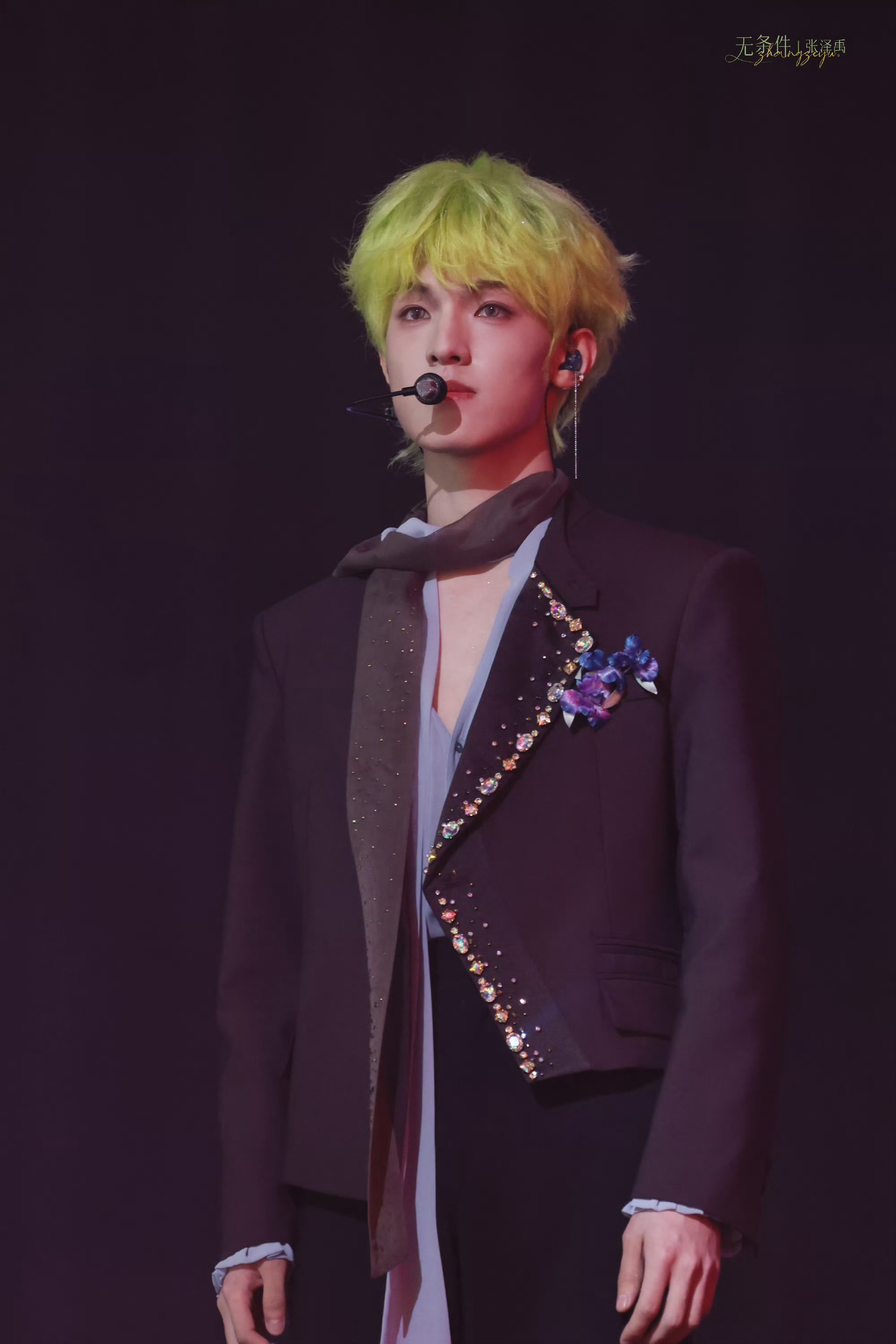 张泽禹演唱会灯牌 张泽禹今日澳门演唱会灯牌赴一场绿海之约，满场的绿色星光和荧光绿