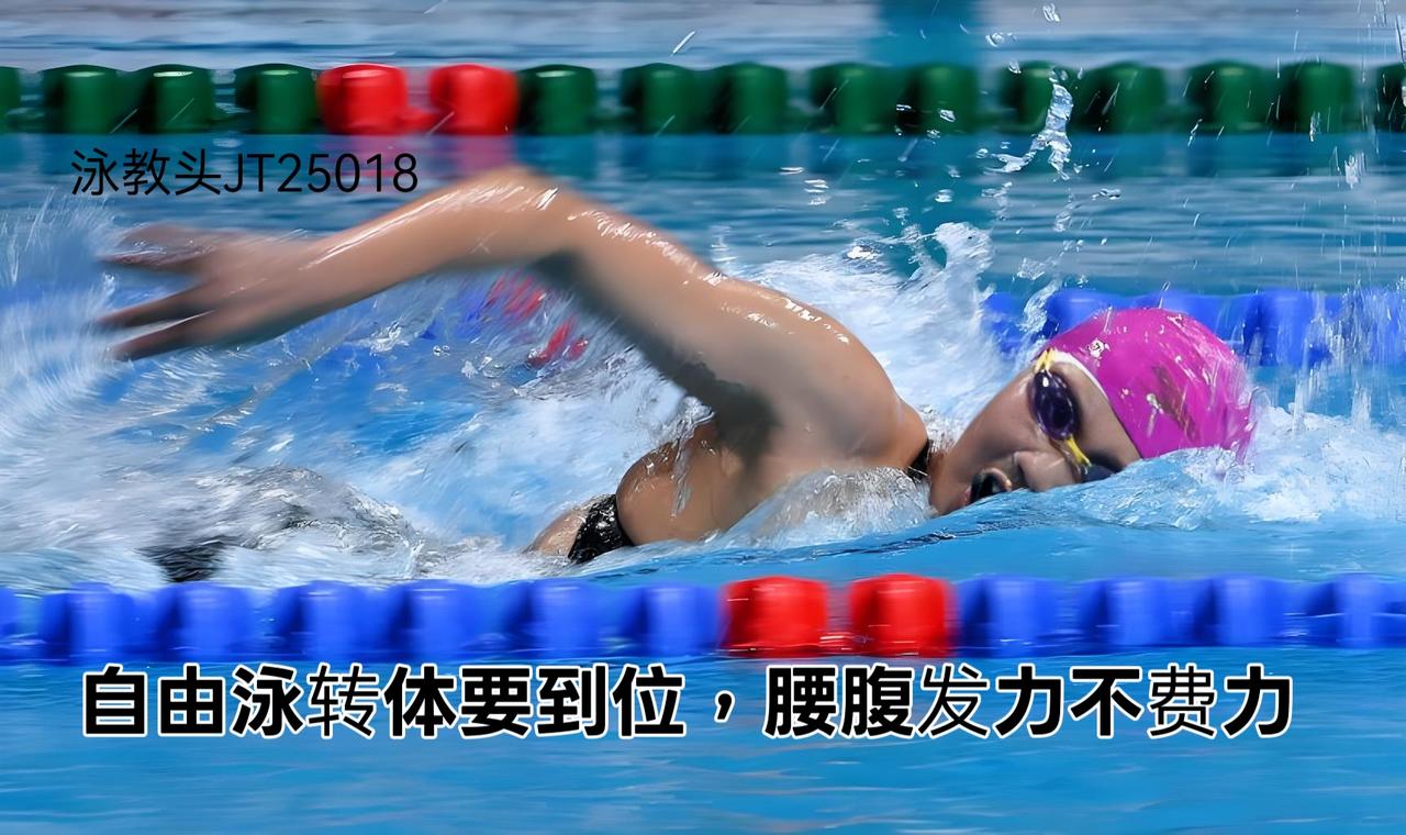 泳教头 | 泳讲堂：自由泳转体要到位，腰腹发力不费力
很多泳友游自由泳时，总觉得