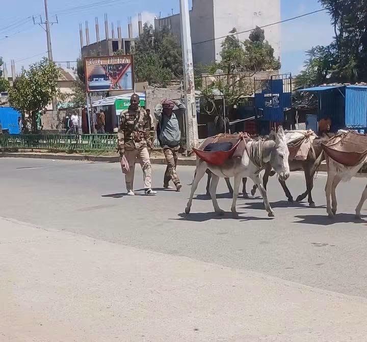 🇪🇹🇪🇷❗据报告，厄里特利亚国防军自阿达加‑哈穆斯地区出发，正向埃塞俄比