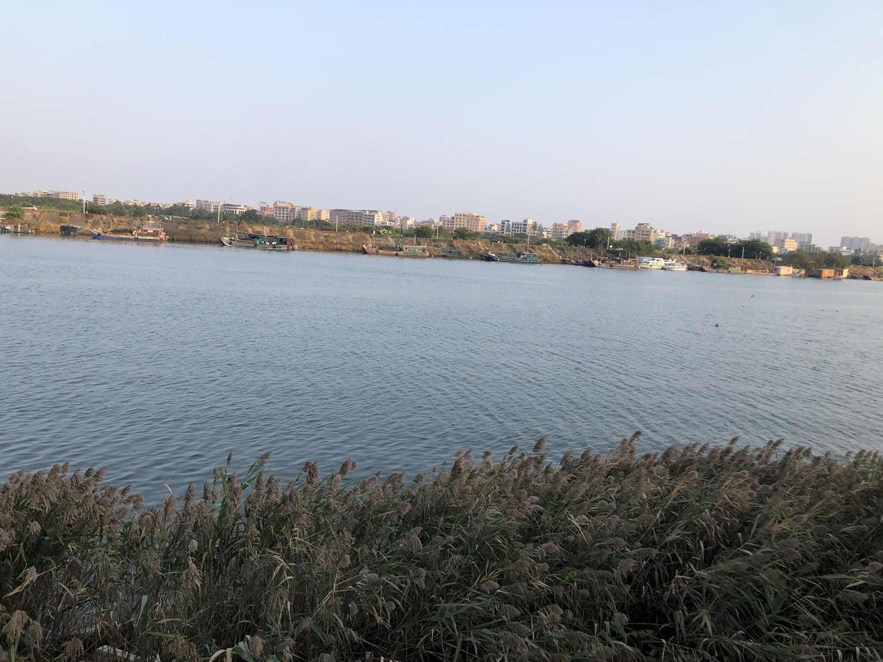 汕头市龙湖区深秋的新津河太像洪湖河畔了。