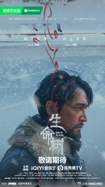 杨紫胡歌向下扎根向上共生杨紫胡歌生命树共生之力海报杨紫胡歌生命树共生之力海，杨紫